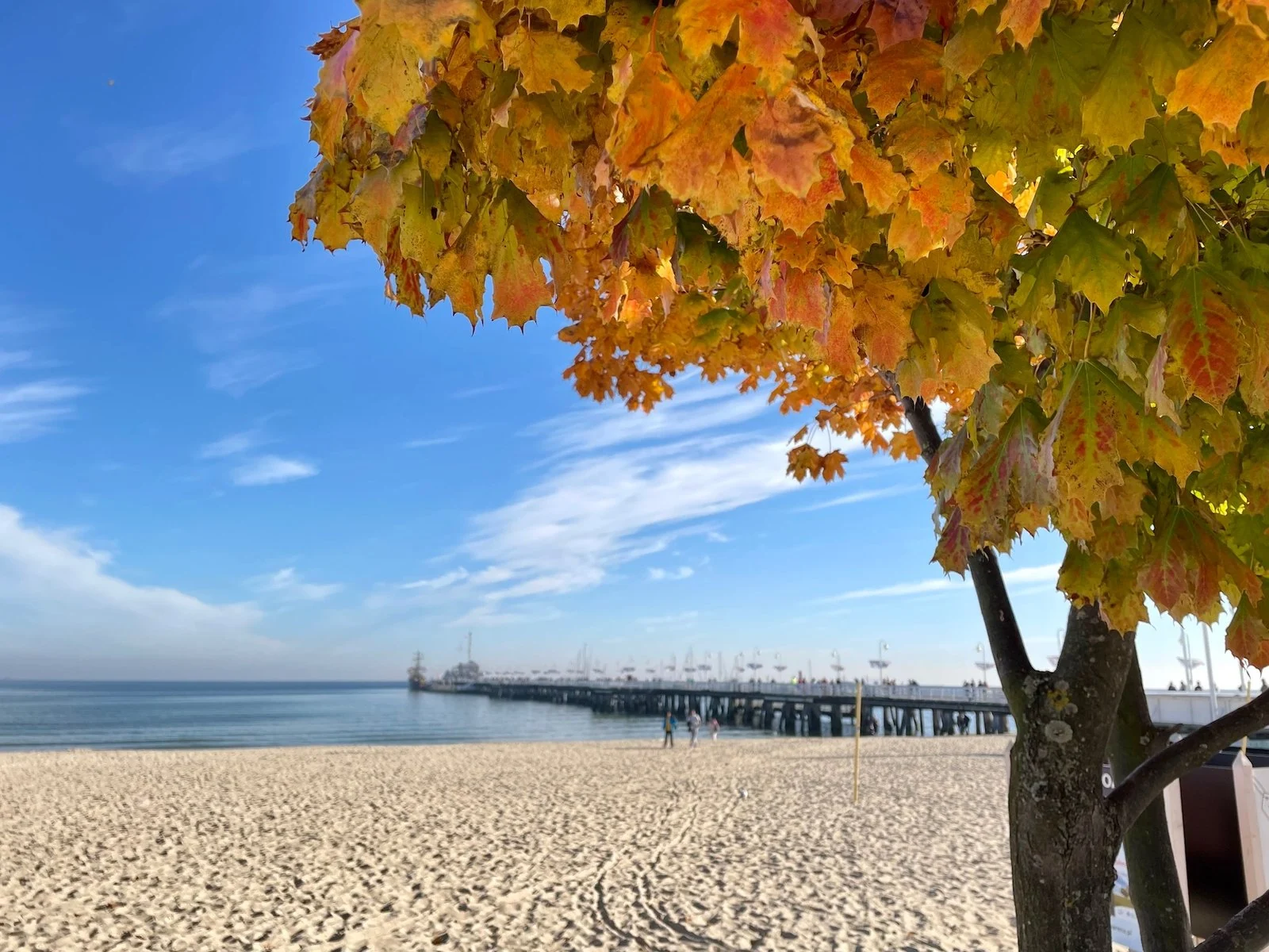 Autumn leaves, the beach and Sopot pier.
