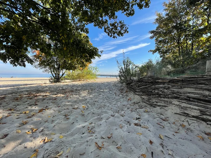 Trees and sand beside Sopot beach.